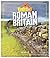 Roman Britain (Fact Cat)