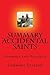 Accidental Saints: Finding God in All the Wrong People by Nadia Bolz-Weber - Summary and Analysis