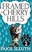Framed in Cherry Hills (Cozy Cat Caper Mystery, #2)