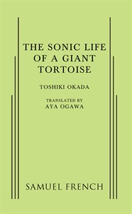 The Sonic Life of a Giant Tortoise: Youth Is Not the Only Thing That's Sonic