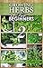 GROWING HERBS: How to Grow ...