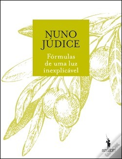 Fórmulas de uma luz inexplicável (Paperback)