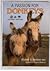 A Passion for Donkeys
