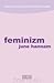 Feminizm by June Hannam