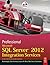 Professional Microsoft SQL Server 2012 Integration Services