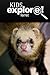 Ferret - Kids Explore: Animal books nonfiction - books ages 5-6