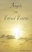 Angels or Virtual Visions