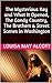 Four Masterpieces of Louisa May Alcott : The Mysterious Key and What It Opened, The Candy Country, The Brothers & Street Scenes in Washington