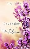 Lavender in Bloom by Lily O. Velez
