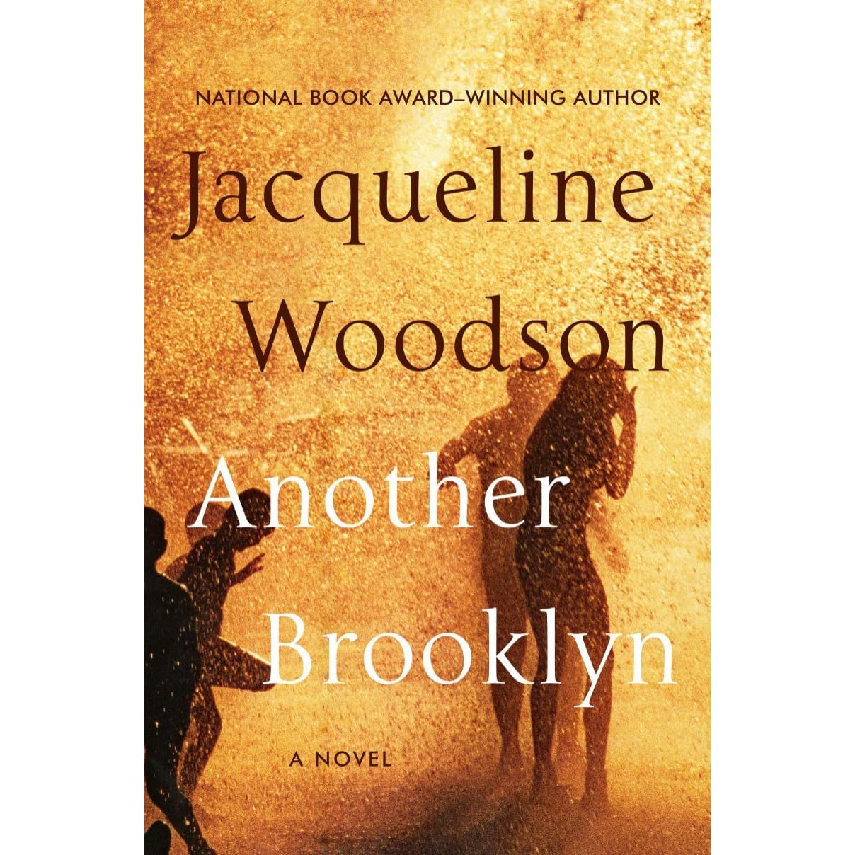 Another brooklyn summary of chapters picture