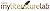 MyLiteratureLab CourseCompa...