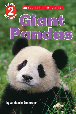 Giant Pandas (Paperback)