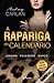 A Rapariga do Calendário - livro 1 by Audrey Carlan