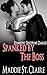 Domestic Discipline Diaries: Spanked By The Boss: A Domestic Discipline Spanking Boss and Secratary Fantasy Short