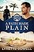 A Path Made Plain (Seasons in Pinecraft Book 2)