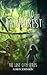 Into the Rainforest (The Lost City Series Book 1)