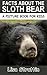 Facts About The Sloth Bear (A Picture Book For Kids 26)
