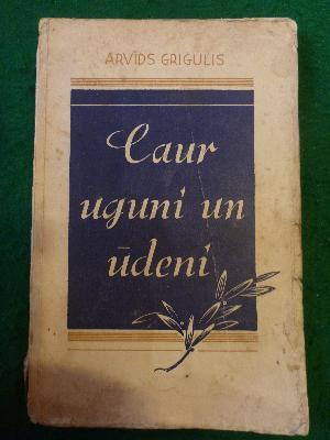 Caur uguni un ūdeni: stāsti (Paperback)