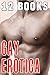 EROTICA GAY: 12 Steamy Stories First Time Bundle Collection Box Set