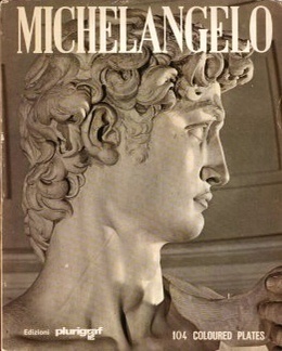 Michelangelo: painter - sculptor - architect (Unknown Binding)