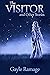 The Visitor