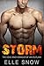 Storm: The Love and Honour of an Outlaw
