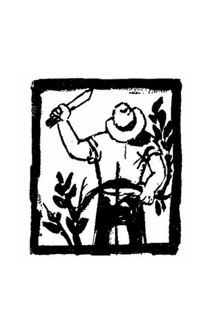 Narradores de Mendoza: Del costumbrismo a la fantasía (Unknown Binding)