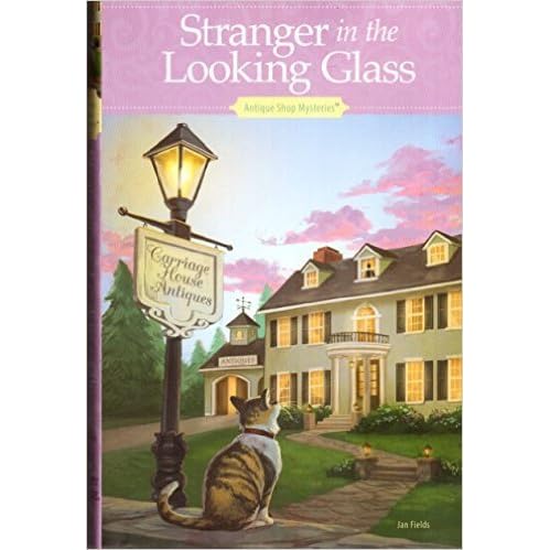 Stranger In The Looking Glass By Jan Fields Stranger In The Looking Glass By Jan Fields