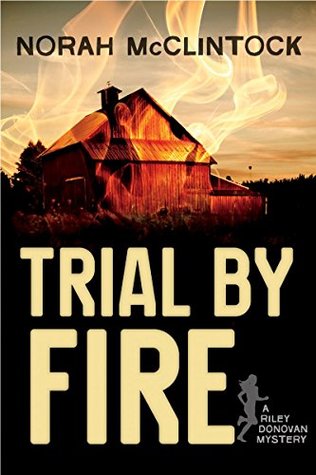 Trial by Fire: A Riley Donovan Mystery (Kindle Edition)