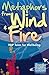 Metaphors from Wind & Fire:...