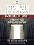 Divine Renovation Guidebook by James Mallon