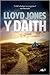 Y Daith by Lloyd  Jones