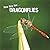 How they live... Dragonflies: Learn All There Is to Know About These Animals!