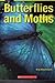 Butterflies and Moths