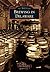 Brewing in Delaware (Images of America: Delaware)