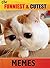 Memes: The Funniest & Cutest Memes on the Planet: Best Collection Of Funny Cute Pictures and Memes (LOLs Heaven Book 4)