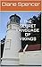 The Secret Language of Vikings: A modern mystery set in coastal Massachusetts