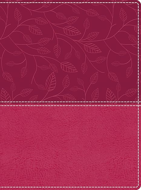 NIV, Beautiful Word Bible: 500 Full-Color Illustrated Verses