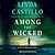Among the Wicked (Kate Burkholder, #8)