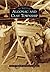 Algonac and Clay Township (Images of America: Michigan)