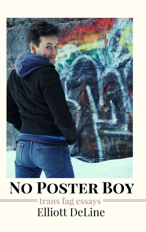 No Poster Boy: Trans Fag Essays (Paperback)