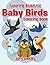 Coloring Beautiful Baby Birds Coloring Book (Birds Coloring and Art Book Series)