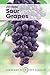 Sour Grapes: Studies in the Subversion of Rationality (Cambridge Philosophy Classics)