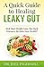 A Quick Guide to Healing Leaky Gut by Joel Ingersoll