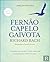 Fernão Capelo Gaivota by Richard Bach