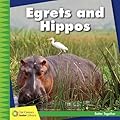 Egrets and Hippos