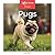 Pugs