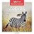 Zebras (Savanna Animals)