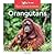 Orangutans (Rain Forest Animals)