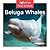 Beluga Whales (Zoom in on: Polar Animals)
